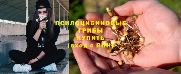 Альфа ПВП Алексеевка