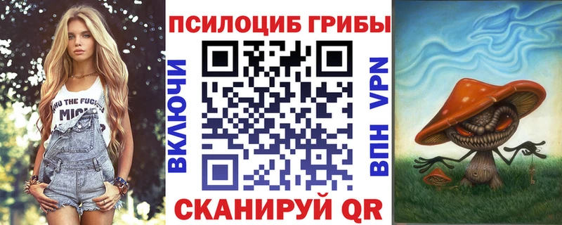 Галлюциногенные грибы Magic Shrooms сколько стоит Гвардейск